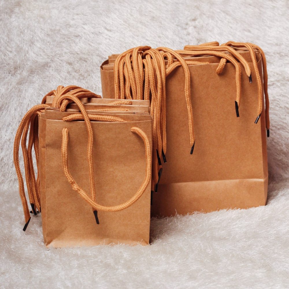 Medium Sized Plain Kraft Bags